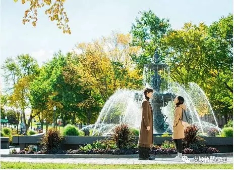 1548731069748703.jpg 640.webp.jpg