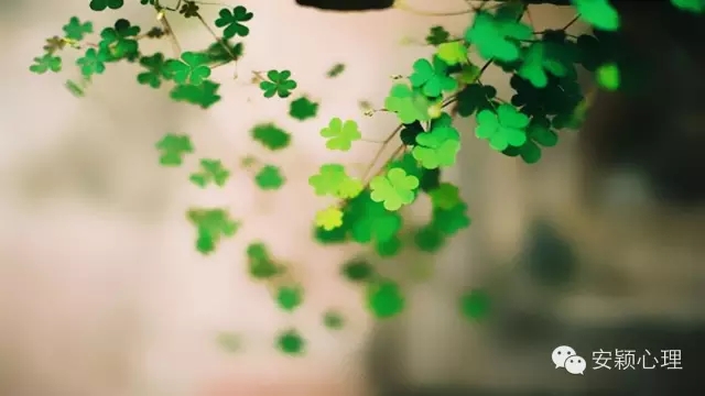 1559101666120730.jpg 640.webp (8).jpg