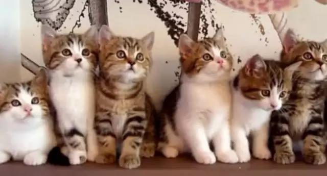 1627551688753811.jpg 微信圖片1.jpg