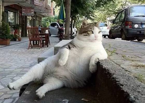 1627551715716458.jpg 微信圖片2.jpg