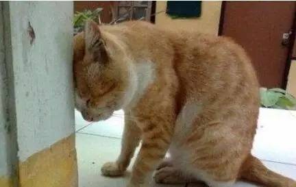 1627551851781120.jpg 微信圖片9.jpg