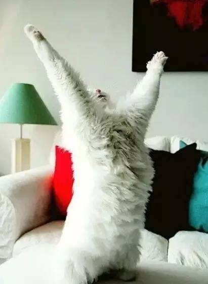 1627551883415929.jpg 微信圖片12.jpg