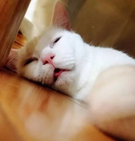 1627551916227902.jpg 微信圖片15.jpg