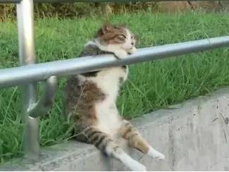 1627551937401106.jpg 微信圖片17.jpg